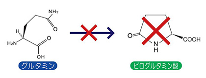 理由その2 筋肉の60%を占めるグルタミンをペプチドで摂取!