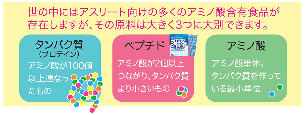 「アミノペプチド」と「アミノ酸」どう違うの?
