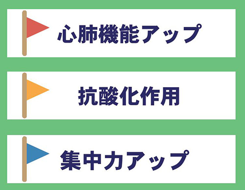 「コエンザイムQ10」のスポーツサプリの役割