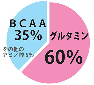 理由その1 筋肉成分 グルタミン と BCAA を効率よく摂取!!