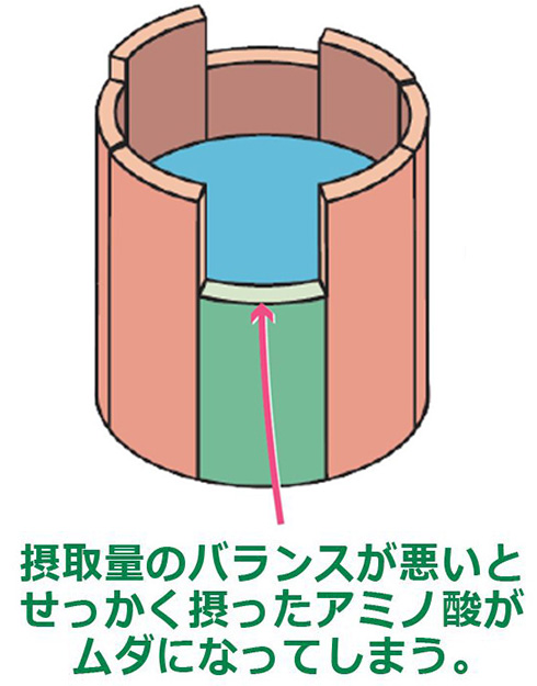 理由その1 筋肉成分 グルタミン と BCAA を効率よく摂取!!